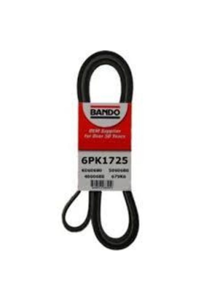 KANALLI KAYIS 6PK1725 (OPEL:ASTRA F VECTRA A B PEUGEOT:206 406)