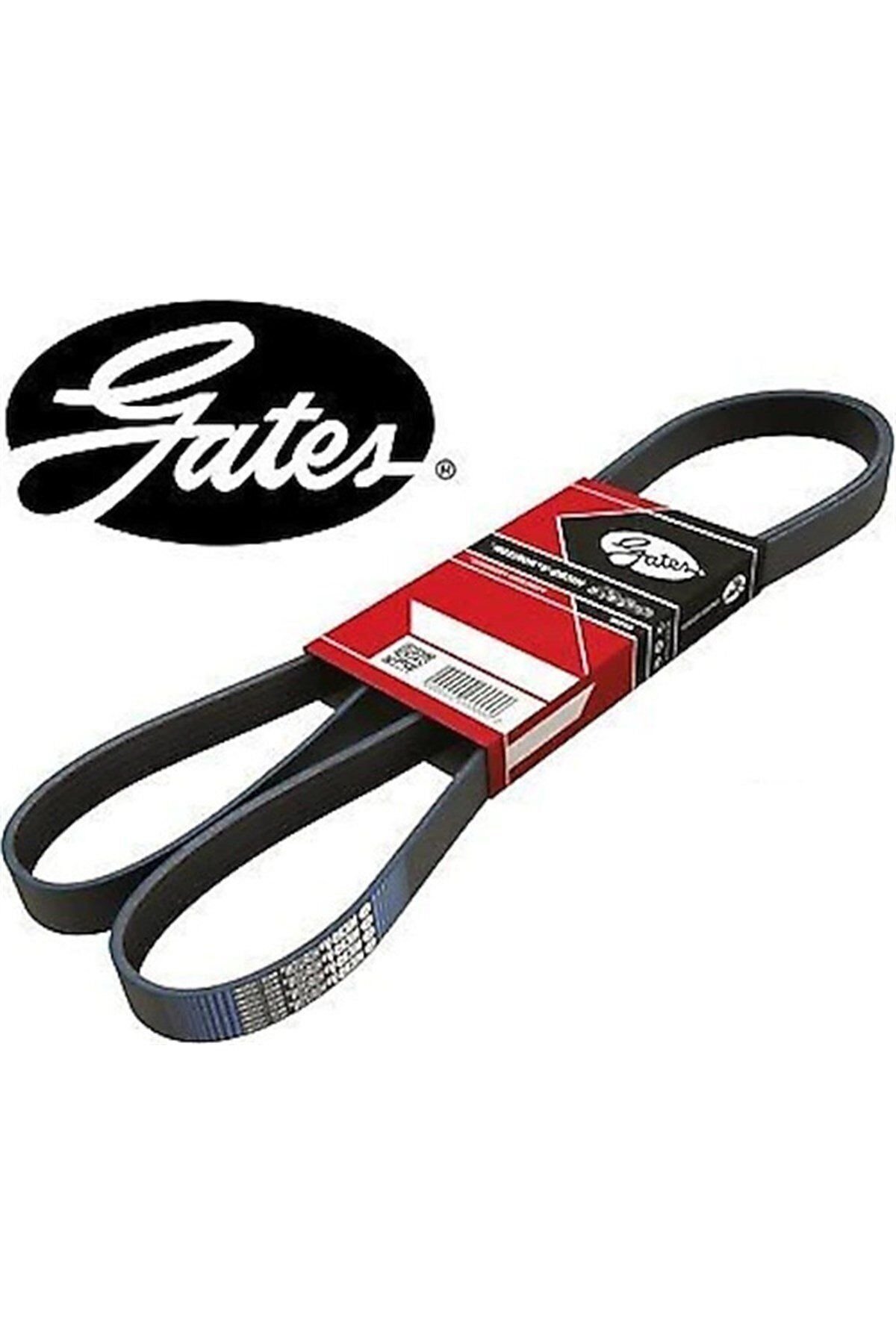 Chevrolet Yeni Captiva C140 2.0 Dizel V Kayışı