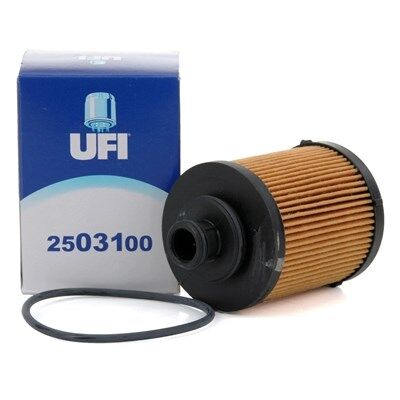 Opel Corsa D 1.3 Dizel UFİ Tip Yağ Filtresi