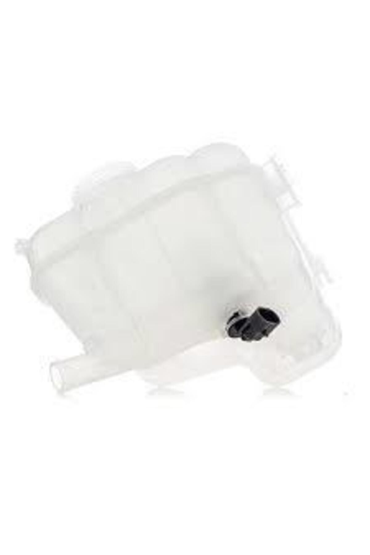 Opel Insıgnıa A Yedek Su Deposu GM