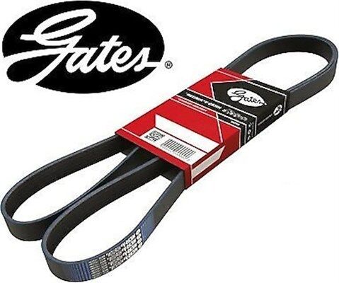 Chevrolet Yeni Captiva C140 2.0 Dizel V Kayışı