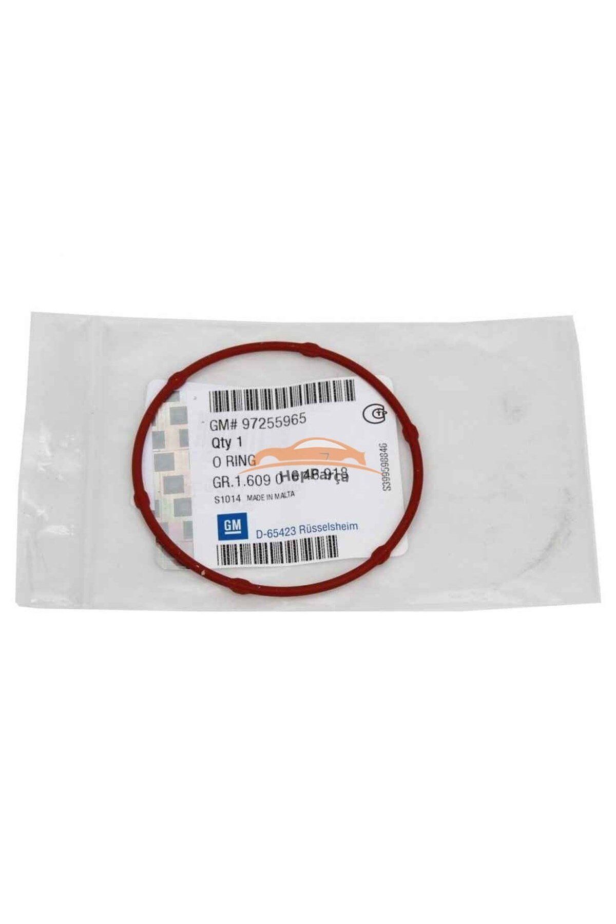 Opel Combo C 1.7 Dizel Yağ Pompa Oringi Orijinal Gm