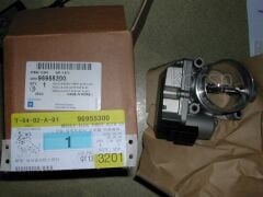 Chevrolet Captiva C100 2.0 Dizel Gaz Kelebeği Orjinal Gm