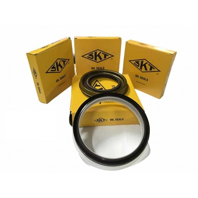 Opel Meriva A 1.3 Dizel  Uyumlu Yağ Pompa Keçesi