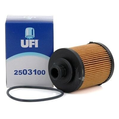 Opel Combo C 1.3 Dizel UFİ Tip Yağ Filtresi