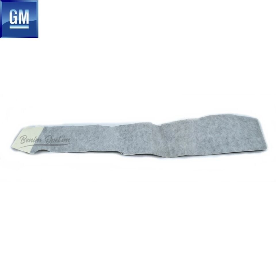  96349123-SAĞ ARKA KAPI DİREK BANDI / KALOS-GM / PSA