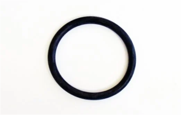 Opel Astra G 1.4 /1.6 Yağ Kapağı Oringi