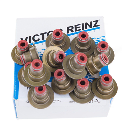 Opel Astra H 1.6 Uyumlu  Subap Lastiği Takım Victor Reinz