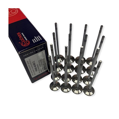 Opel Astra H 1.6 Benzinli Çelik Subap Takımı Güneş