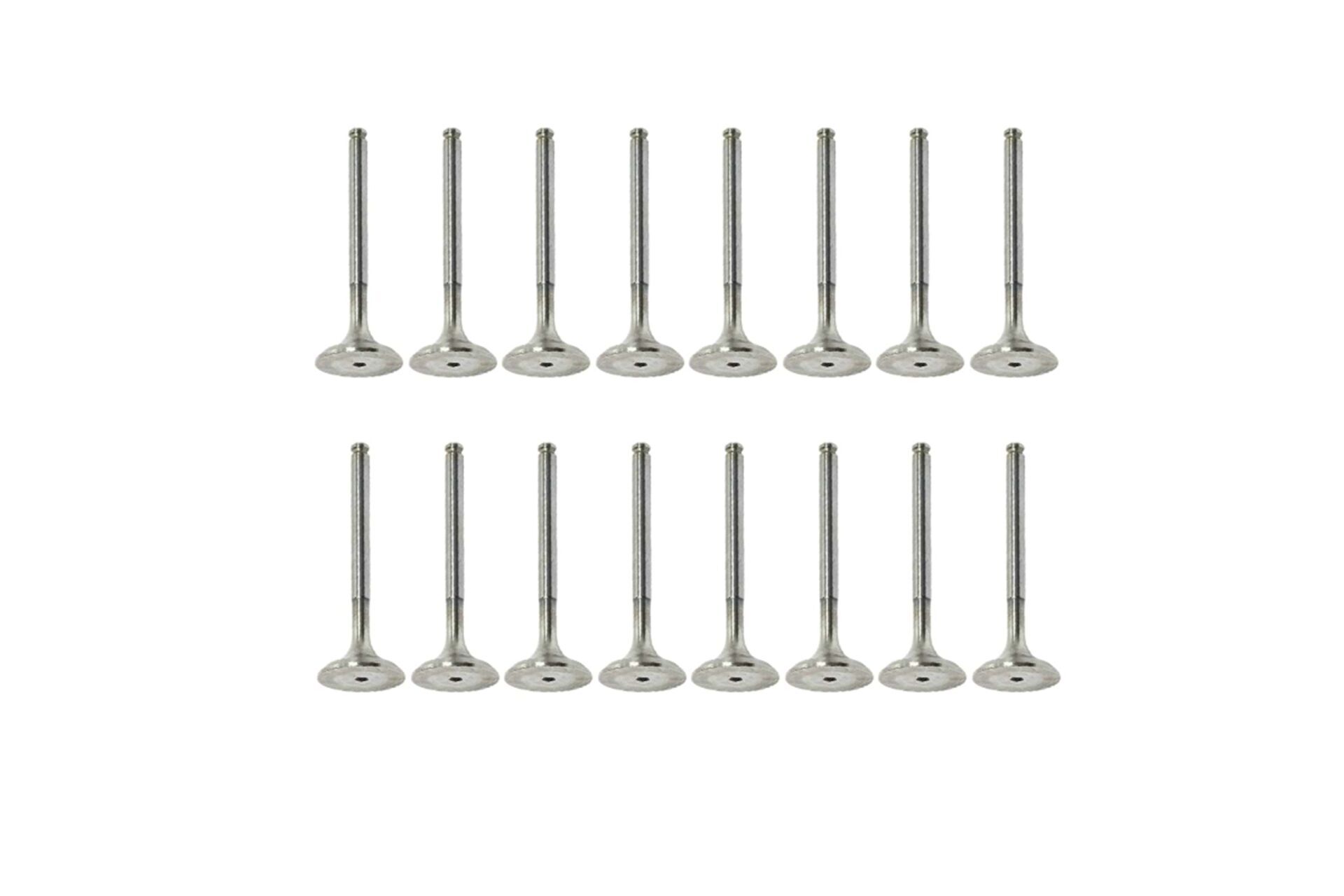 TETIK OPL-131-SUPAP TAKIM-641 325-VECTRA B X20XEV