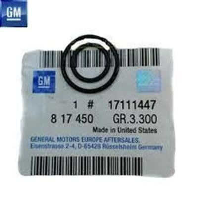 Opel Astra G Enjektör Contası