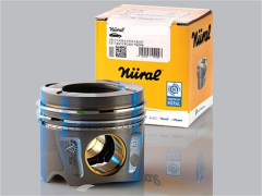 Chevrolet Captiva C100 Piston Takımı 0.50 Ölçü Göetze Nural