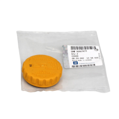 Opel Astra G Yedek Su Depo Kapağı GM