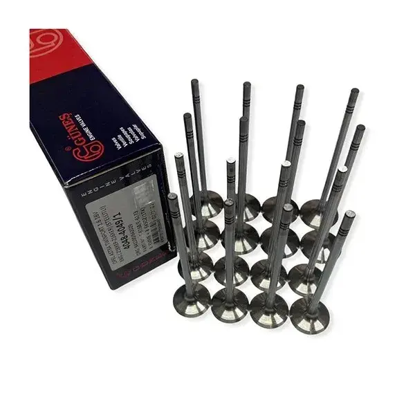 GÜNES GS 4063-4066-1-SUPAP TAKIM (StelitliLPG)-641 392-INSIGNIA-ASTRA 06> A16LET(turbo)