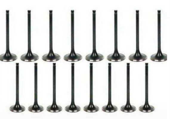 Chevrolet Lacetti 1.6 16v Subap Takımı