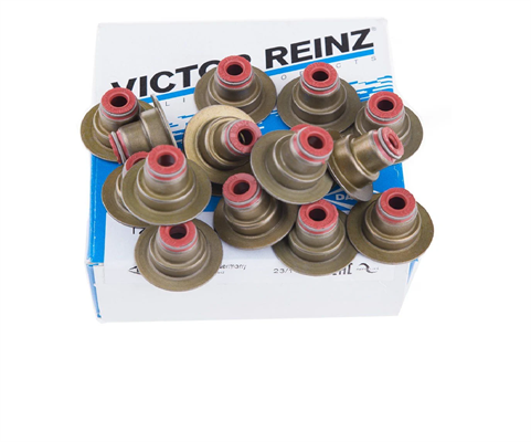 Opel Astra G 1.6 Z16XEP Subap Lastiği Takım Victor Reinz Marka