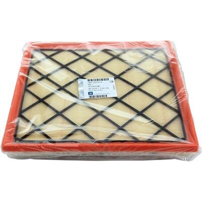 Chevrolet Cruze 2.0 Dizel Hava Filtresi Orijinal Gm