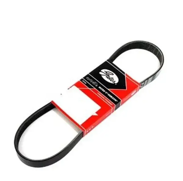 GATES KANALLI KAYIŞ OPEL INSIGNIA-A (1.6/1.6T) 09- / ASTRA-J (1.6/1.6T) 10- / CHEVROLET CRUZE J300 (1.6/1.8) 10-14 / VW