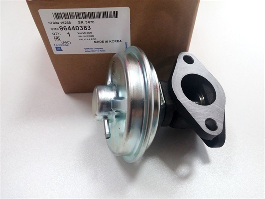 Chevrolet Epica 2.0 Dizel Egr Valfi Orjinal Gm